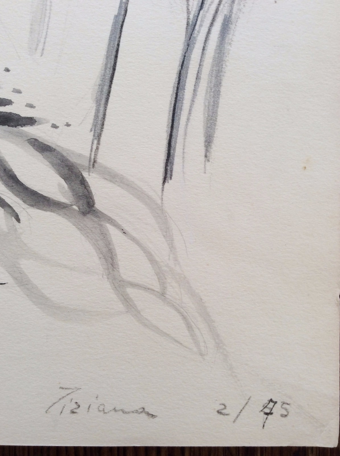 dessin encre gouache Tiziana, artiste italienne, active vers 1970 Paysage