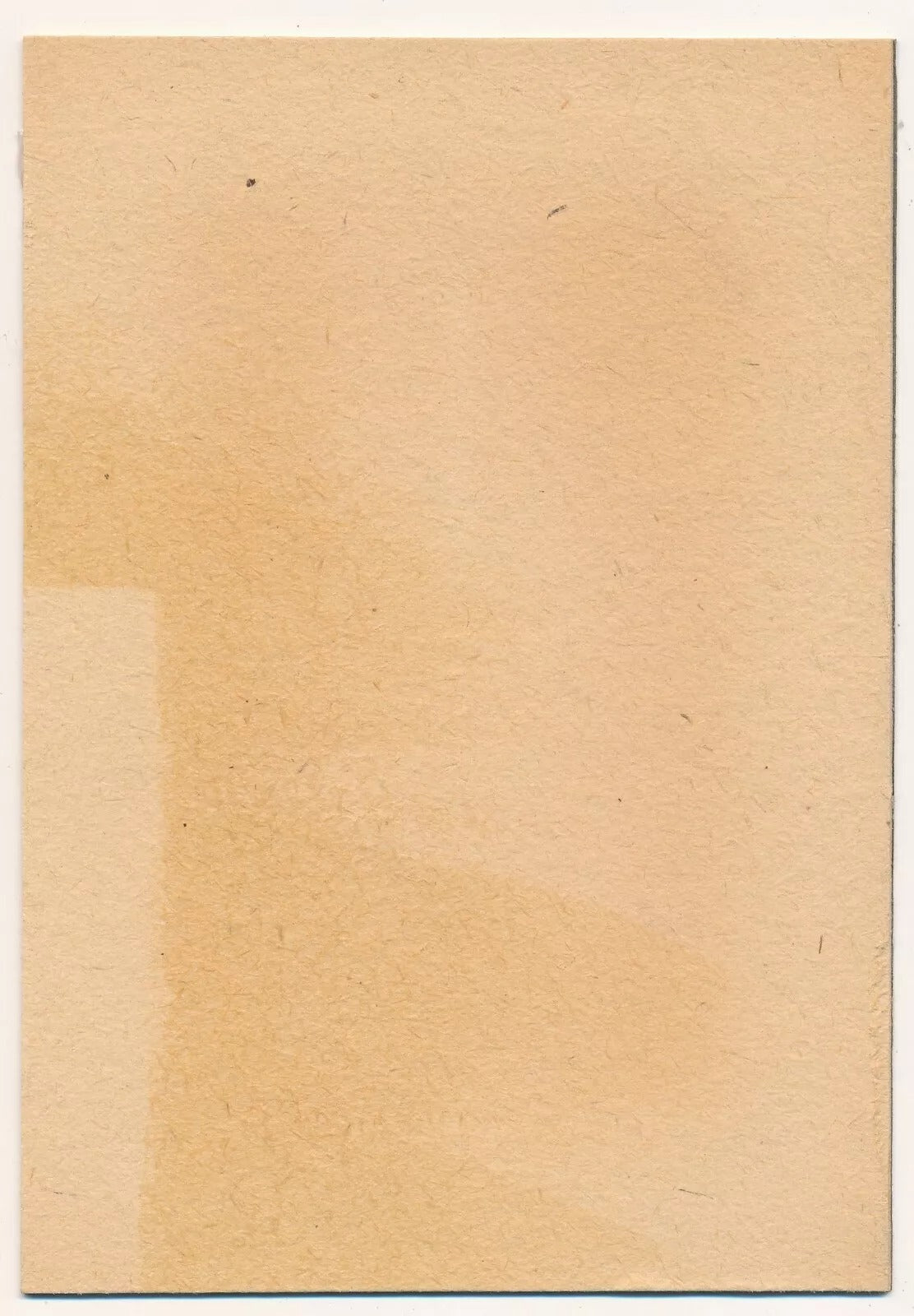 Tetsuro Araki gravure