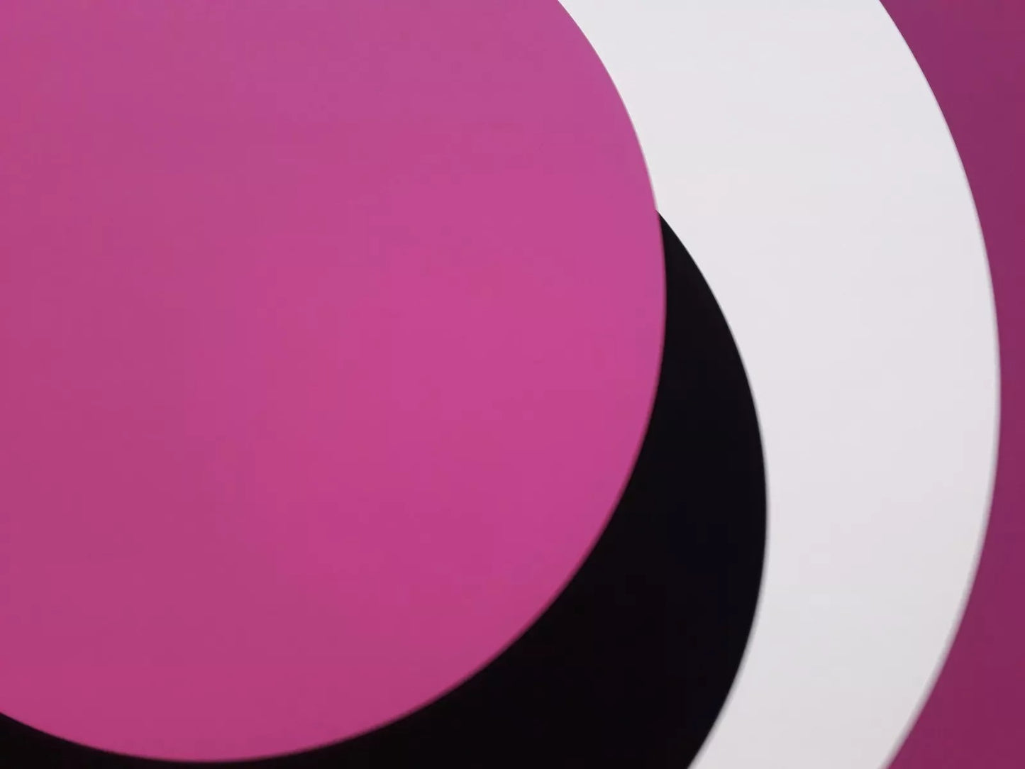 Geneviève Claisse sérigraphie