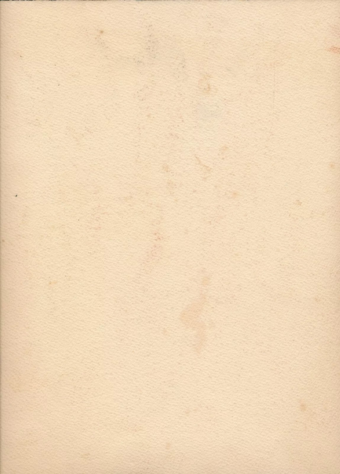 Joseph Terdjan dessin