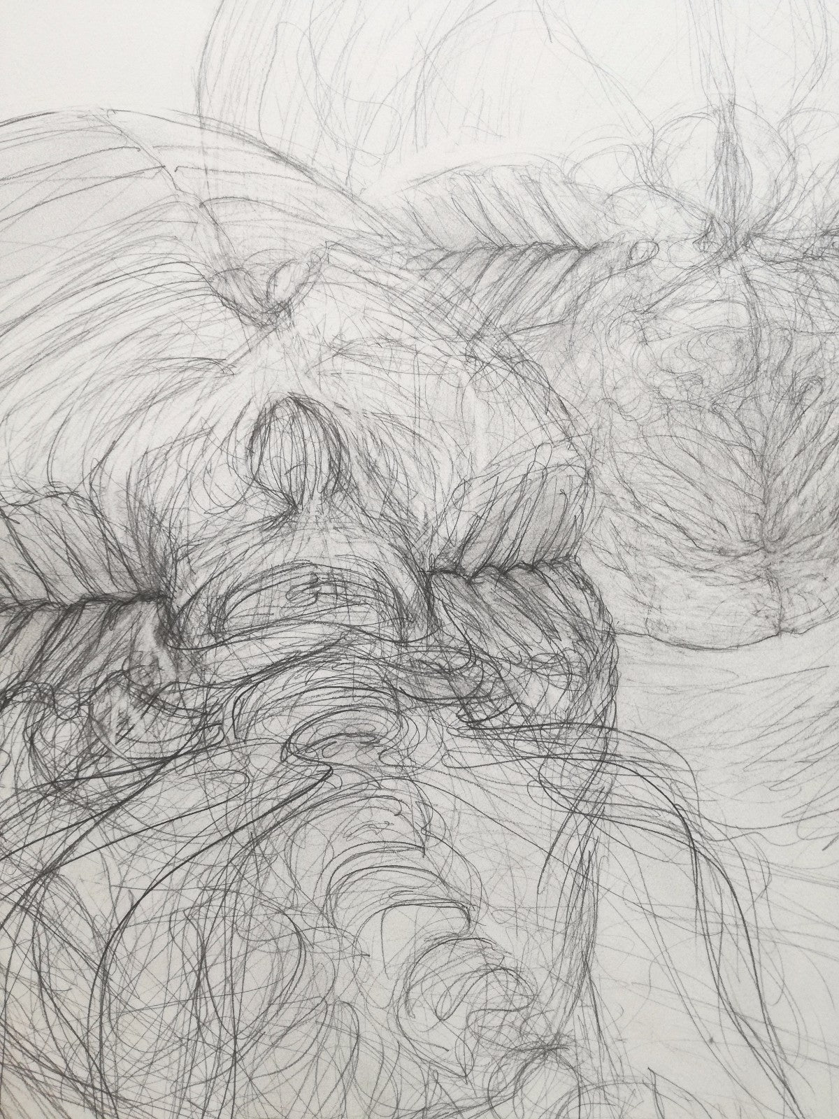 dessin crayon Philippe Guénin signé 1980 surréalisme 