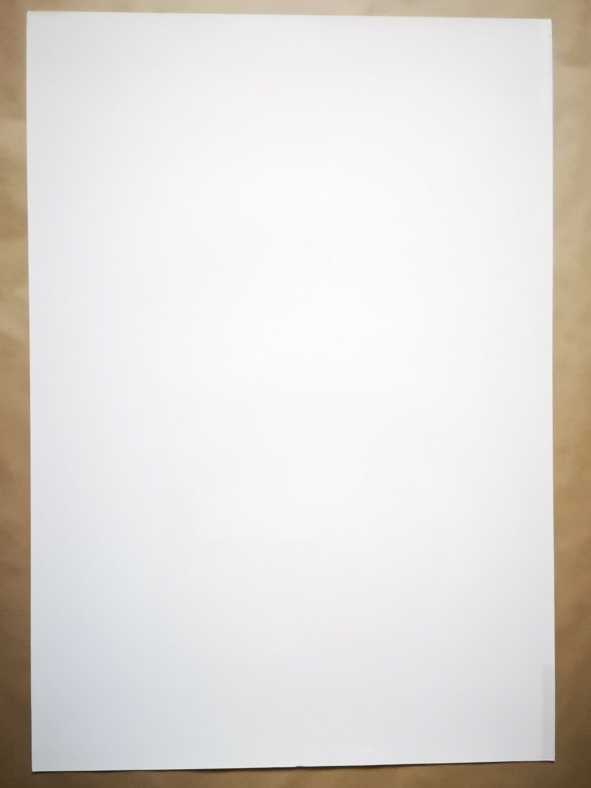 Horst JANSSEN Franz Kafka 1988 lithographie signée litho