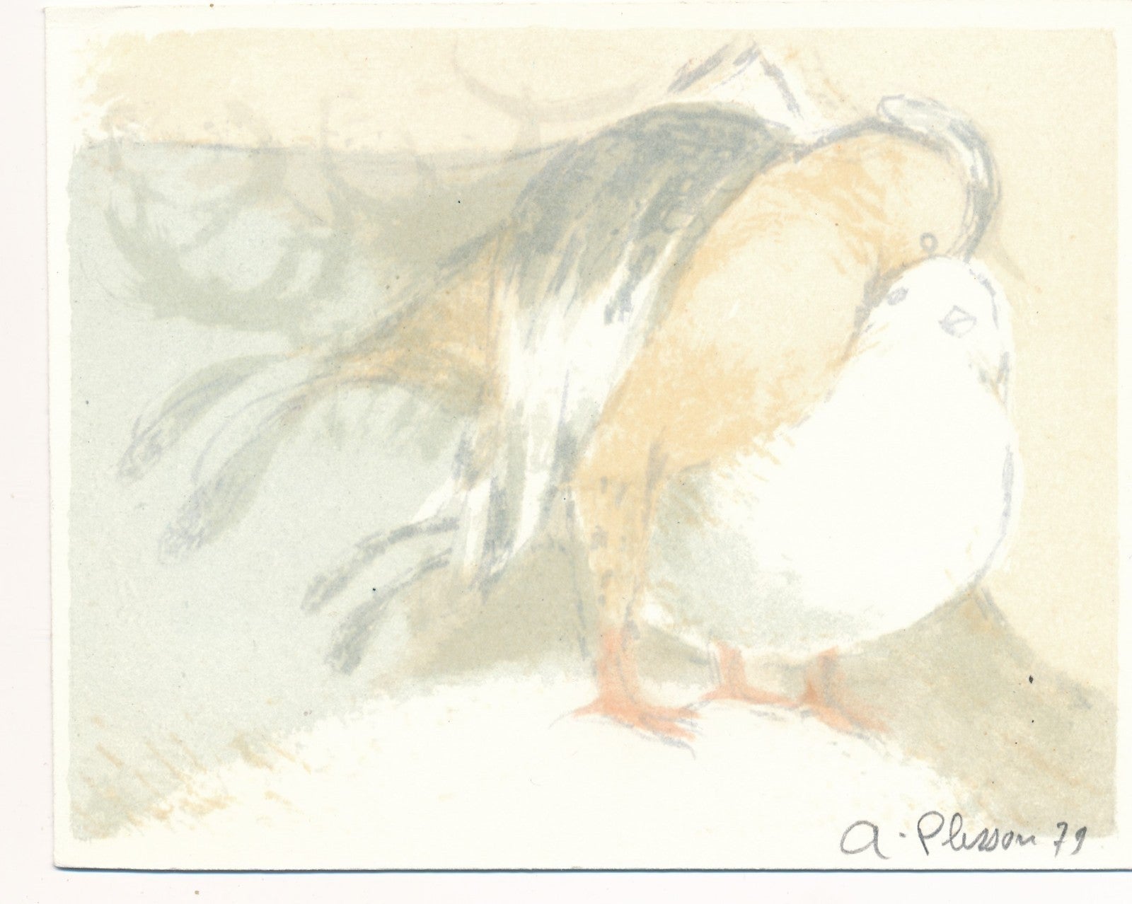 André PLISSON 1929-2016 lithographe lithographie originale signée colombe