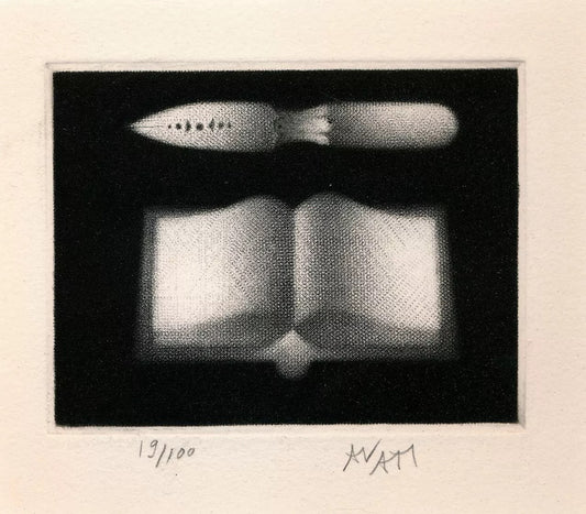 manière noire estampe signée numérotée livre instrument