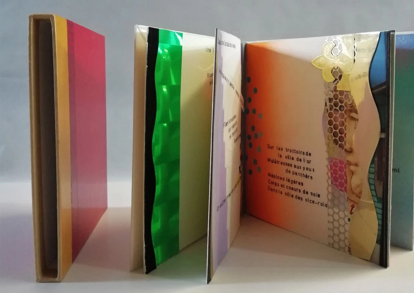 Bertrand DORNY Olivier ROLIN Carthagène des Indes 1995 collages