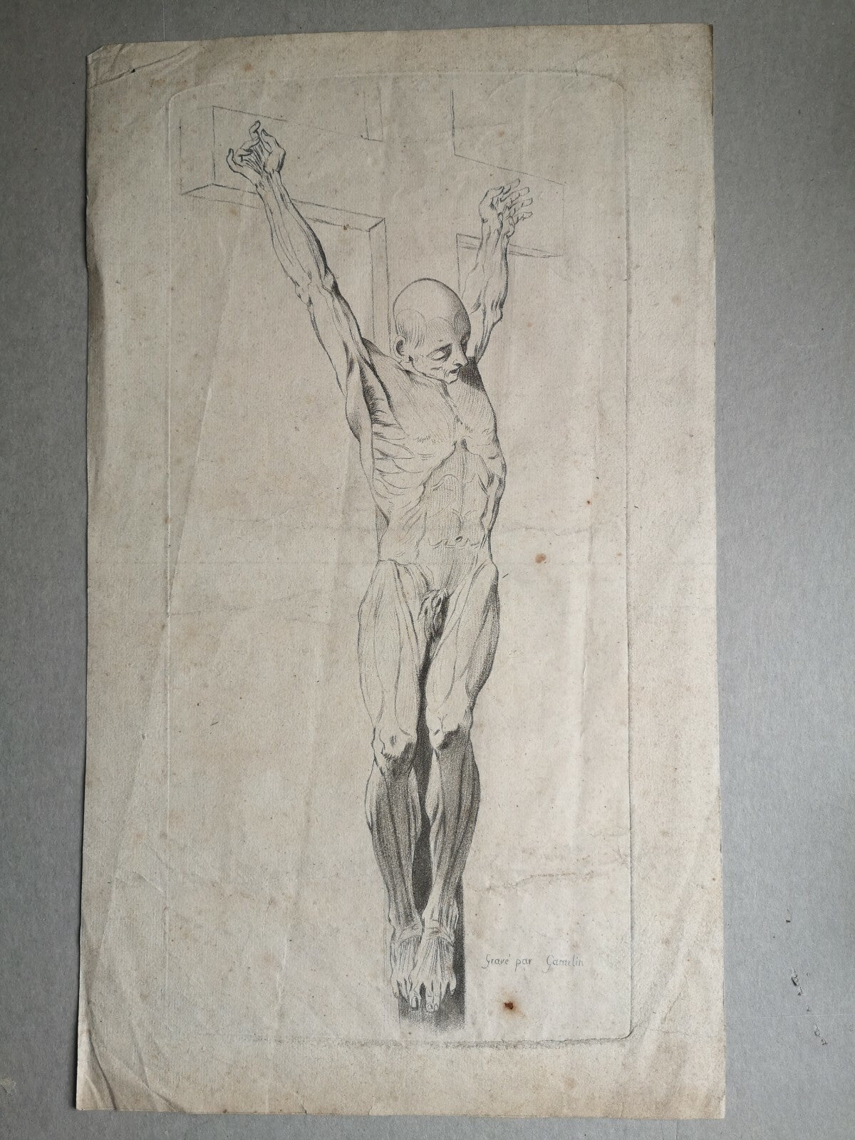 Lithographie d'après Gamelin muscle corps série myologie XIXe